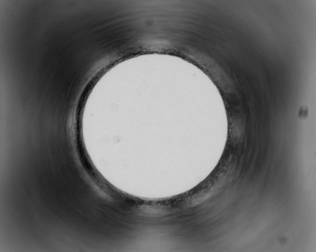X0000103930630200810311518