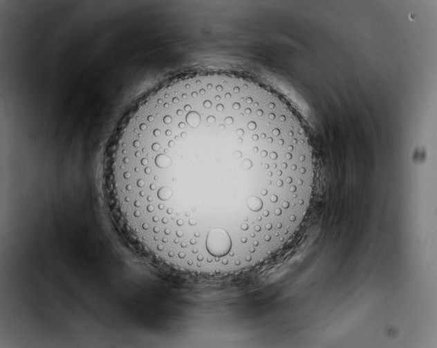 X0000103930631200810311518