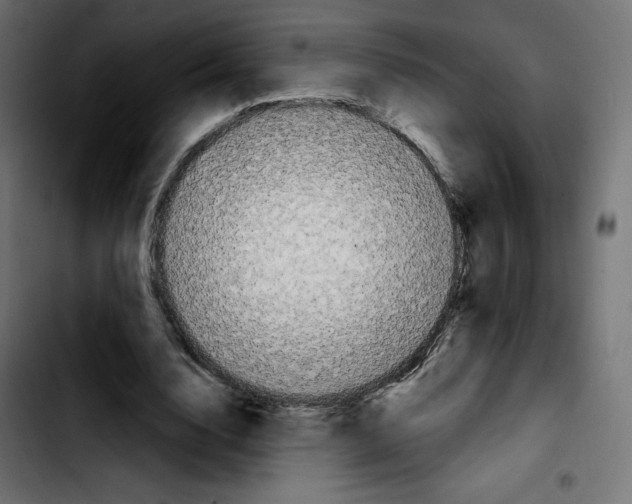 X0000103930632200810311518