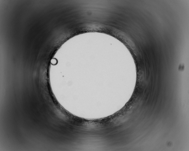 X0000103930633200810311518