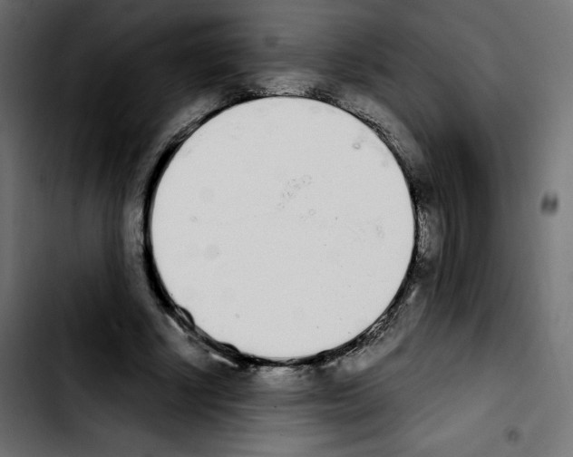 X0000103930634200810311518