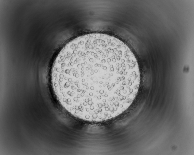 X0000103930635200810311518
