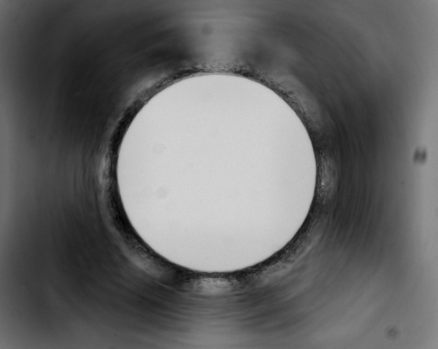 X0000103930636200810311518