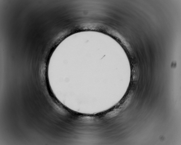 X0000103930637200810311518