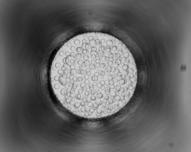 X0000103930638200810311518