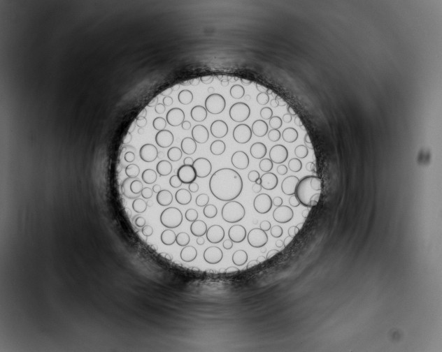 X0000103930639200810311518