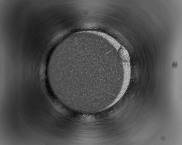 X0000103930640200810311518