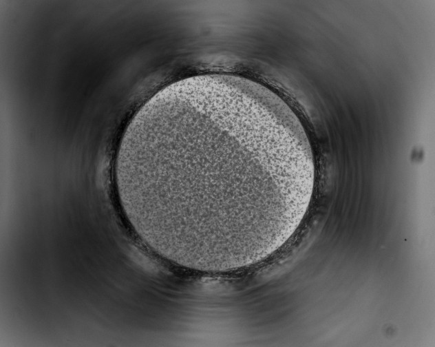 X0000103930641200810311518