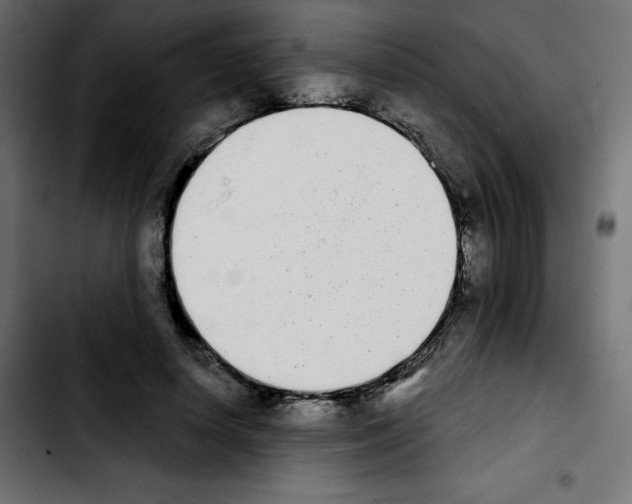 X0000103930642200810311518