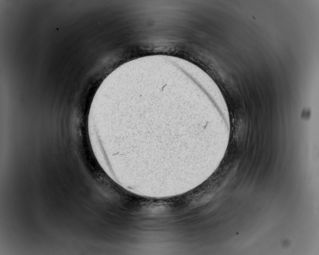 X0000103930643200810311518
