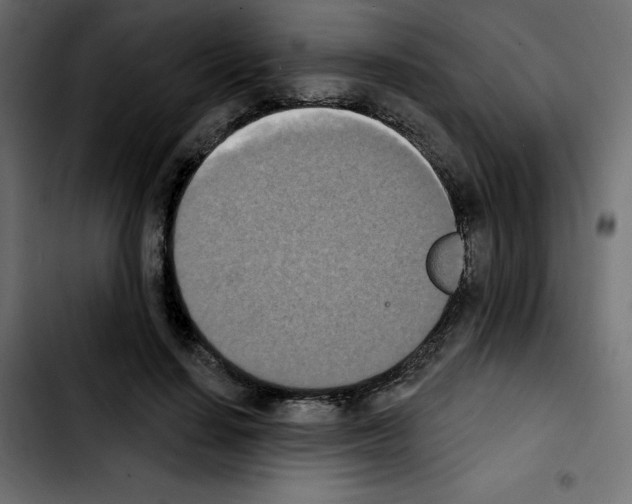 X0000103930644200810311518