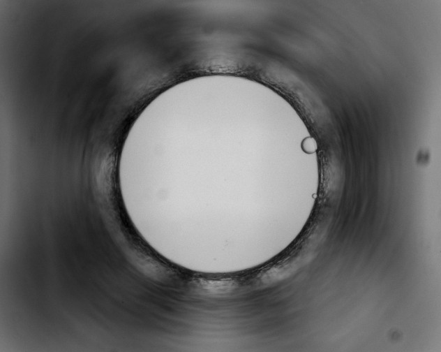 X0000103930645200810311518