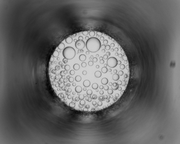 X0000103930646200810311518