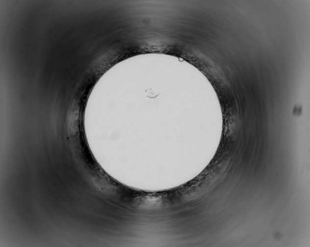 X0000103930647200810311518