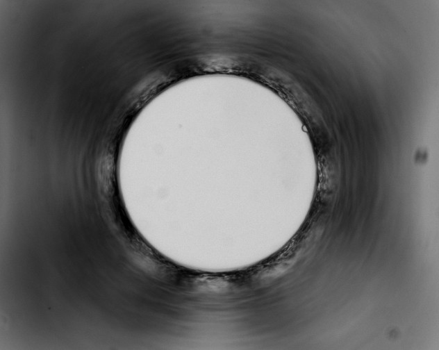 X0000103930648200810311518