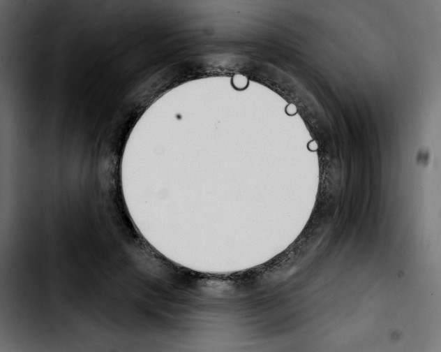 X0000103930649200810311518