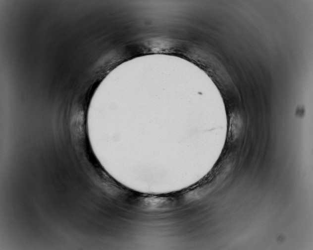 X0000103930650200810311518