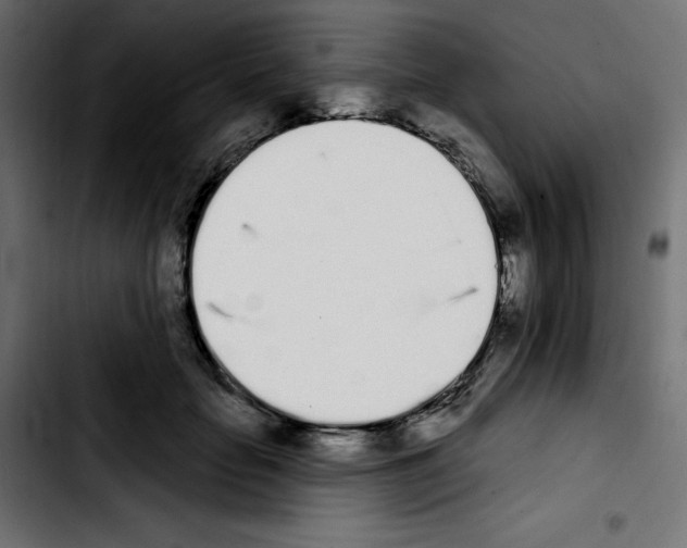 X0000103930653200810311518