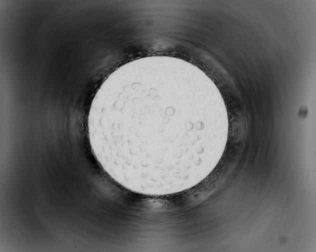 X0000103930654200810311518