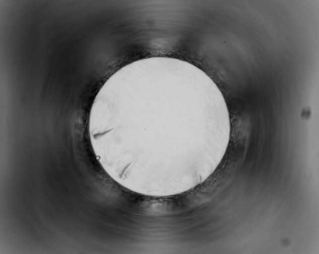 X0000103930655200810311518