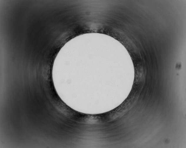 X0000103930656200810311518