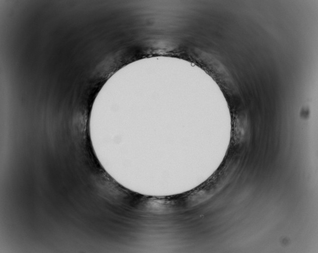 X0000103930657200810311518