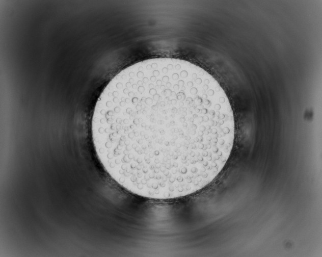 X0000103930658200810311518