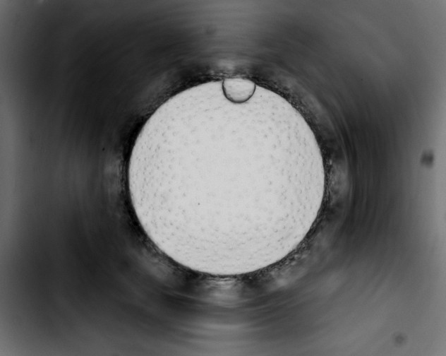 X0000103930659200810311518