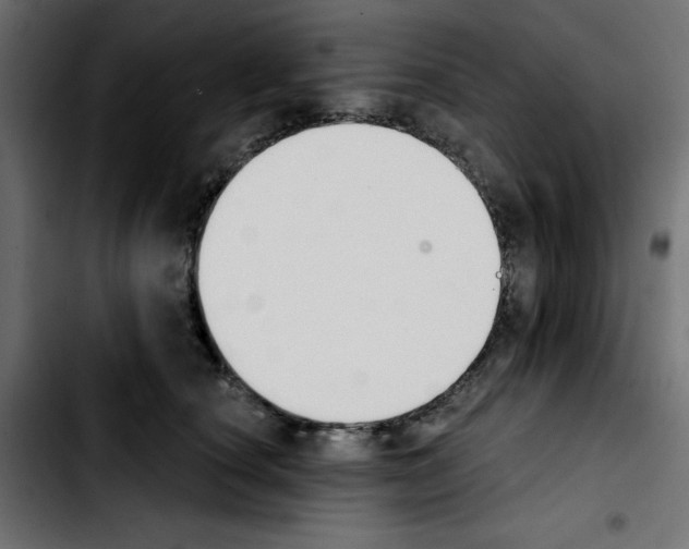 X0000103930660200810311518