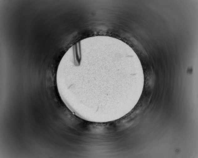 X0000103930661200810311518