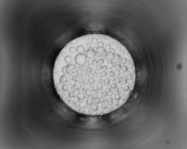 X0000103930662200810311518