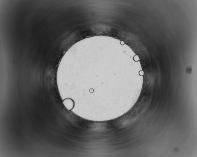 X0000103930664200810311518