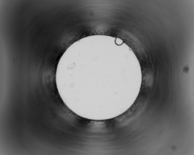 X0000103930665200810311518
