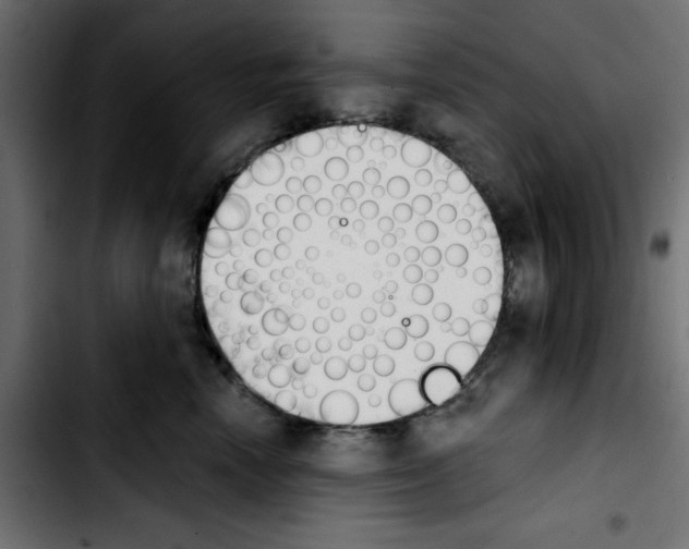 X0000103930666200810311518