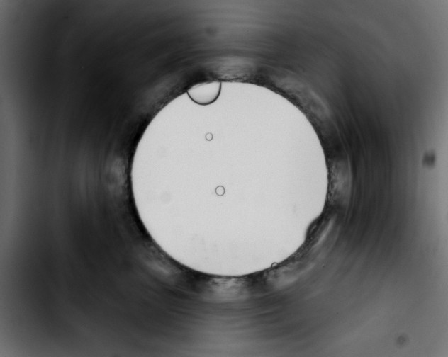 X0000103930667200810311518