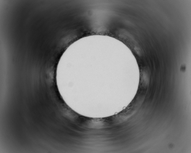 X0000103930668200810311518