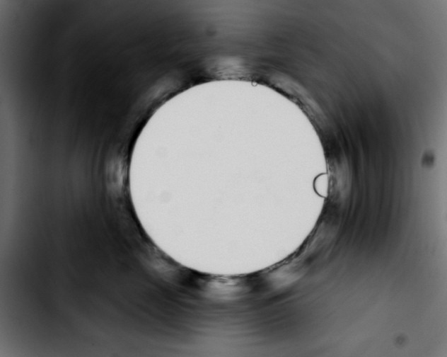 X0000103930669200810311518