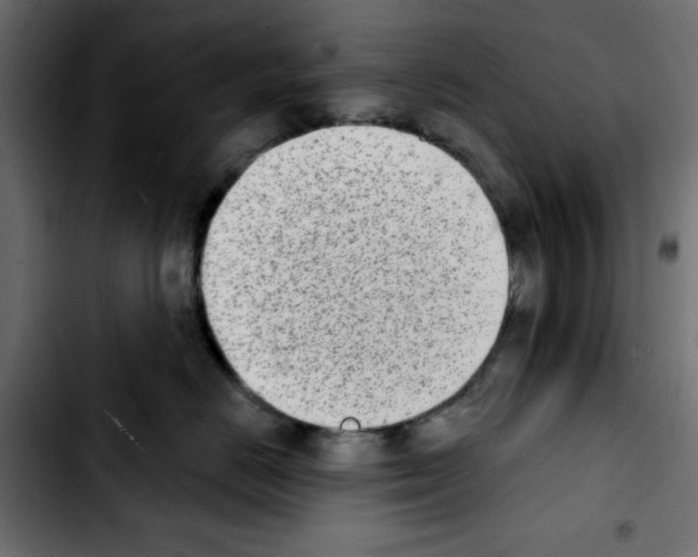 X0000103930670200810311518