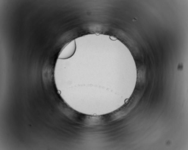 X0000103930671200810311518