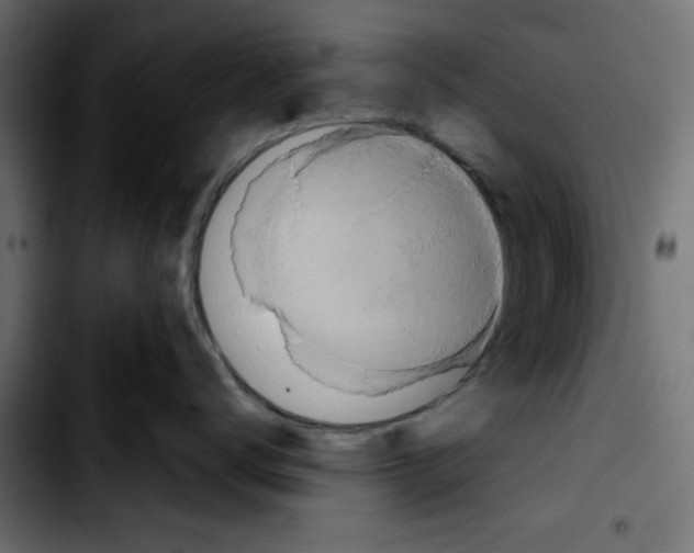 X0000103930672200810311518