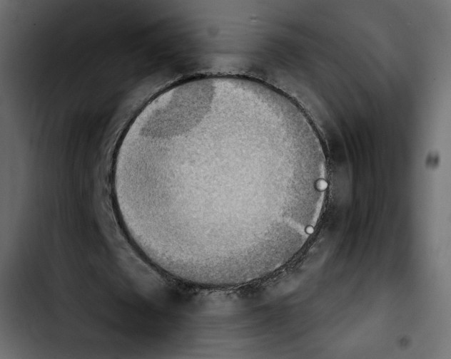 X0000103930673200810311518