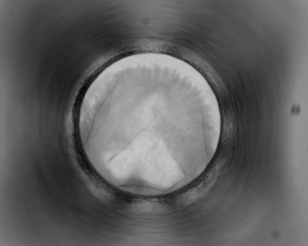 X0000103930674200810311518