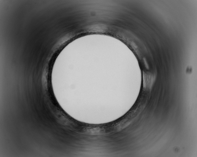 X0000103930675200810311518