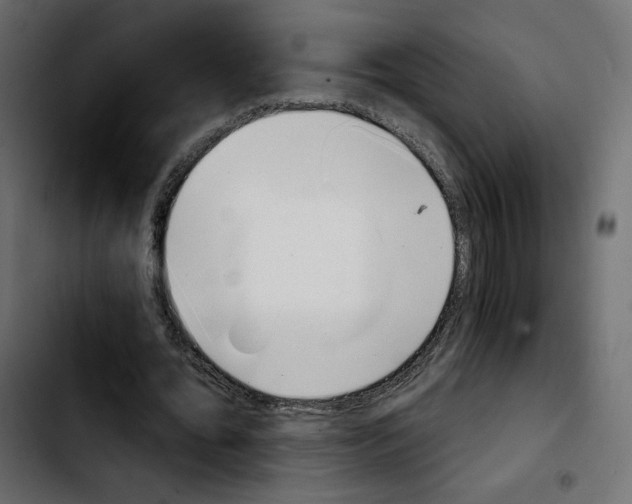 X0000103930676200810311518