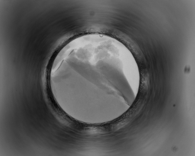 X0000103930678200810311517