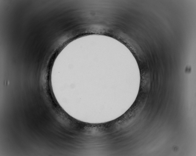 X0000103930679200810311517