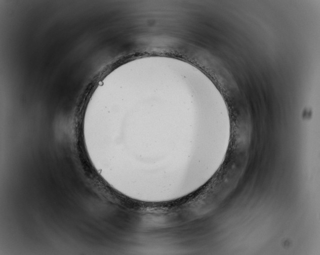 X0000103930680200810311517