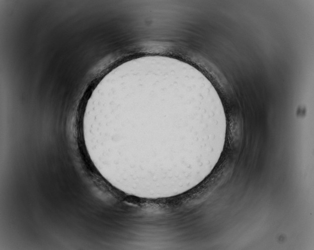 X0000103930682200810311517