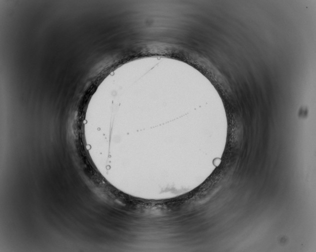 X0000103930683200810311517