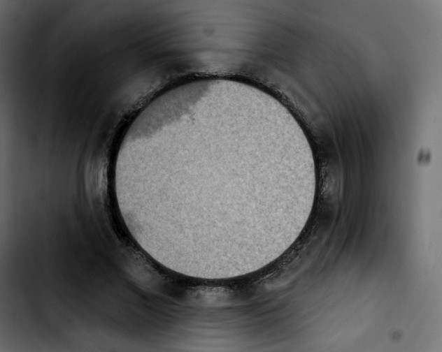 X0000103930685200810311517